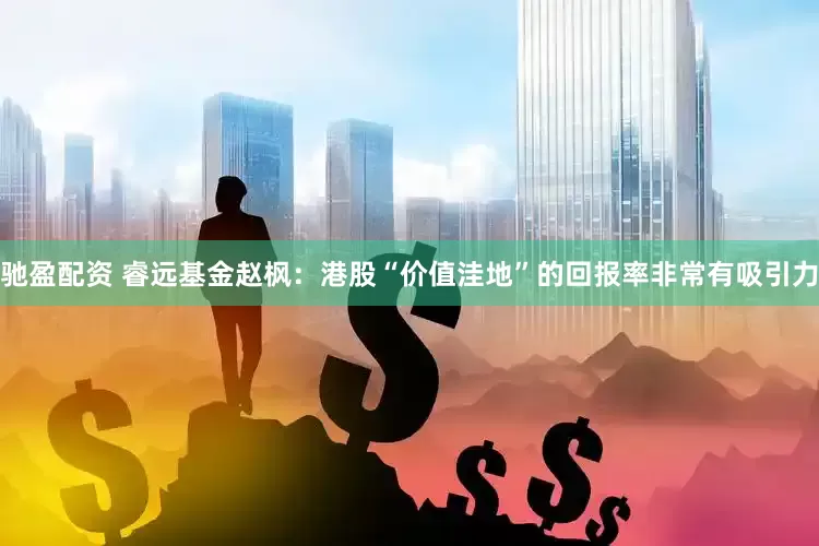 驰盈配资 睿远基金赵枫：港股“价值洼地”的回报率非常有吸引力