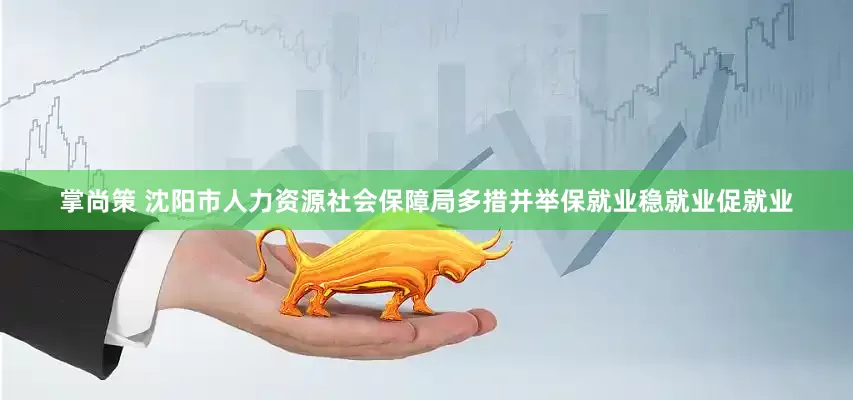 掌尚策 沈阳市人力资源社会保障局多措并举保就业稳就业促就业