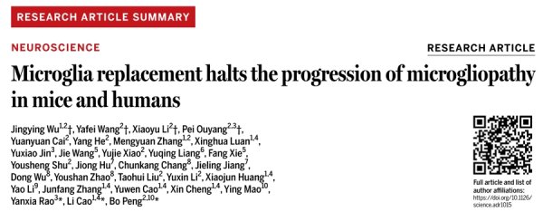 广盛网 《科学》刊发上海科学家成果：小胶质细胞替换疗法有效阻断致命性遗传脑病进展