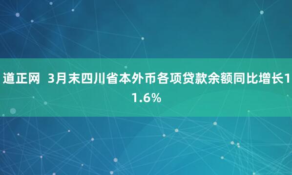 道正网  3月末四川省本外币各项贷款余额同比增长11.6%